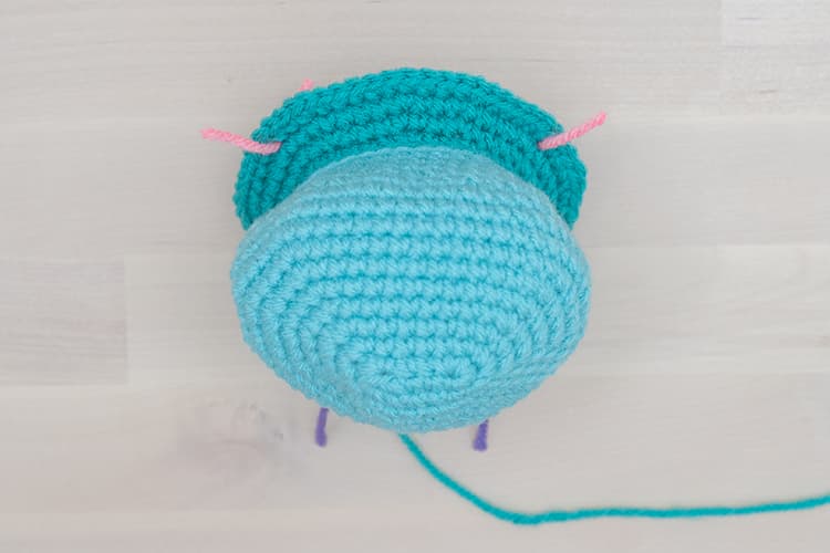 Round 20 – Eyes | Hippo Crochet Pattern Tutorial 3