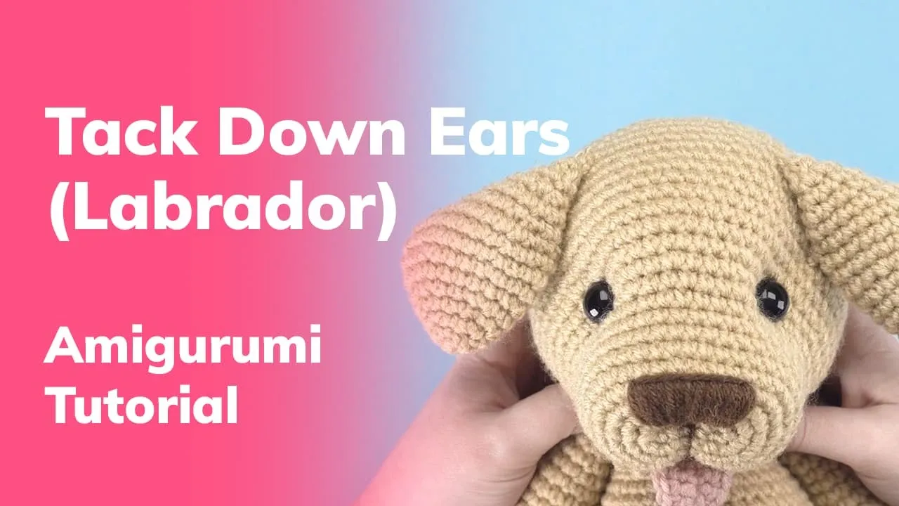 Tack down ears